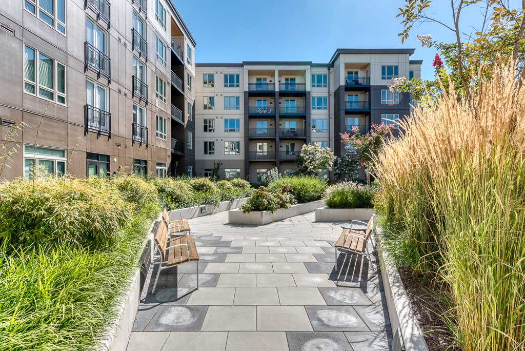 A modern apartment courtyard at MorningStar Senior Living Hillsboro, featuring benches, tall grasses, and lush green plants, offers a serene setting for retirement living amid multi-story buildings under a clear blue sky.
