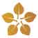 A simple illustration of five golden-yellow leaves arranged in a circular pattern, with their tips pointing outward, resembling a flower shape—an emblem often associated with Retirement Living at MorningStar Senior Living Hillsboro.