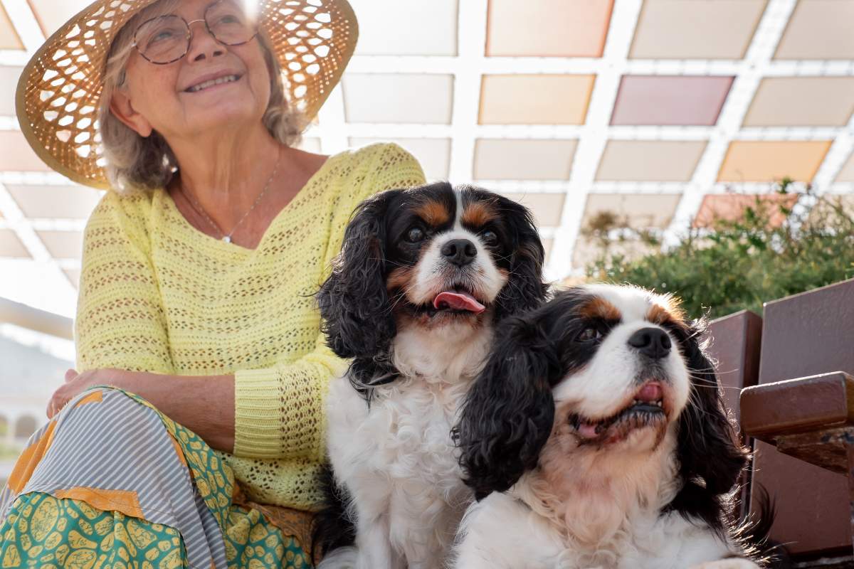 A senior woman enjoying the company of her two dogs